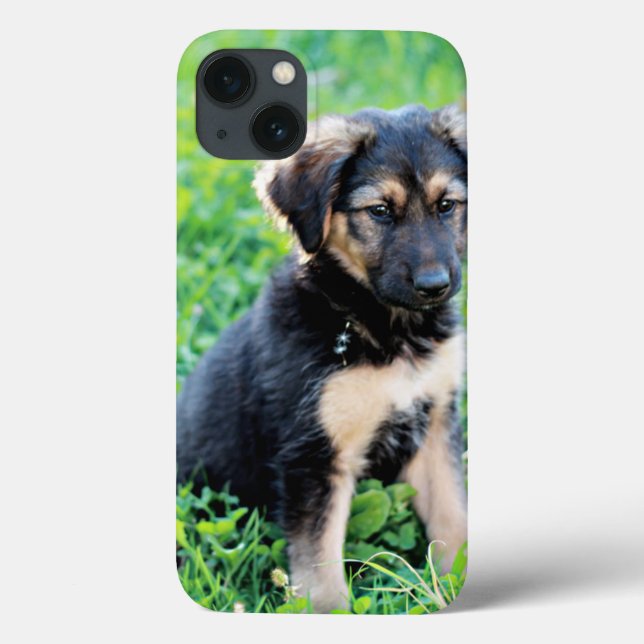 German shepherd (Verso)