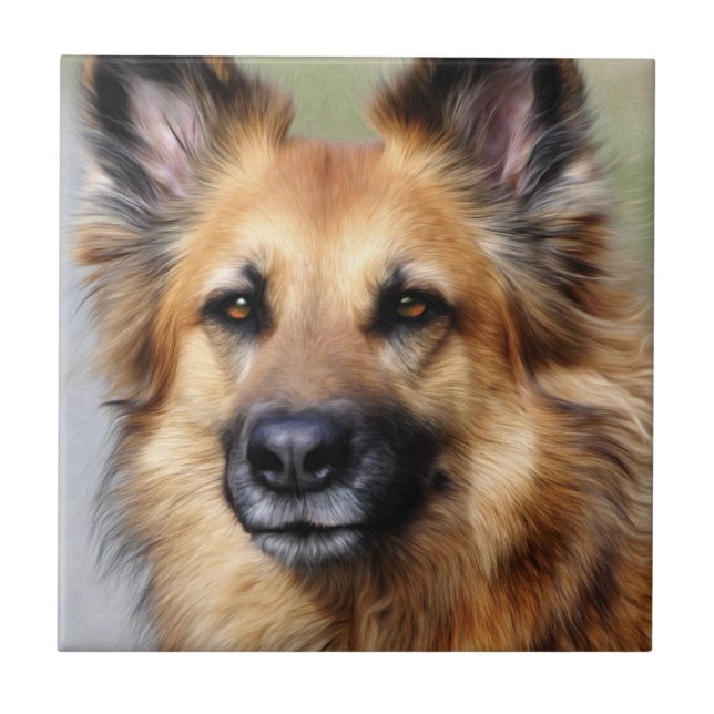 German shepherd (Frente)