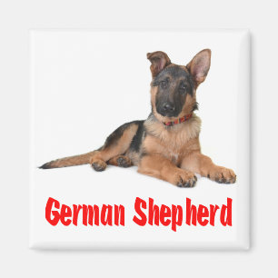 German shepherd Adoro Imã de geladeira de cachorr