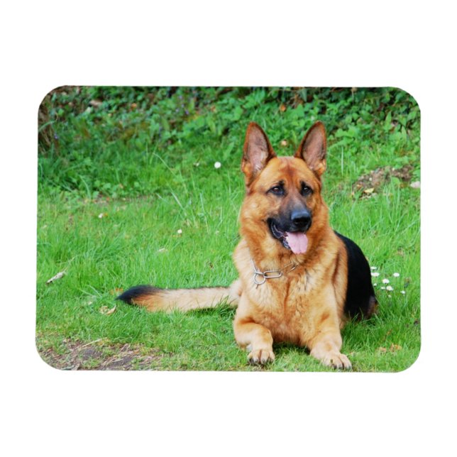 German shepherd aninhado no ímã de grama (Horizontal)