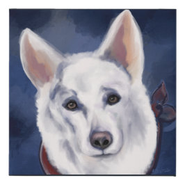 GERMAN SHEPHERD BRANCO