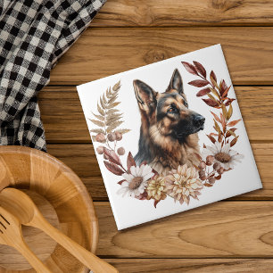 German shepherd Cão Outono