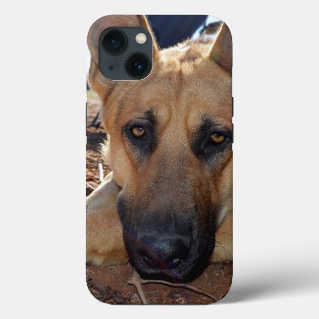 German shepherd Cat Naps, iPhone 13 Case (Verso)