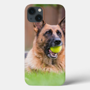 German shepherd Com Bola De Tênis