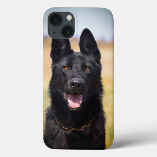 German shepherd de Fotografia Pet Dog Personalizad