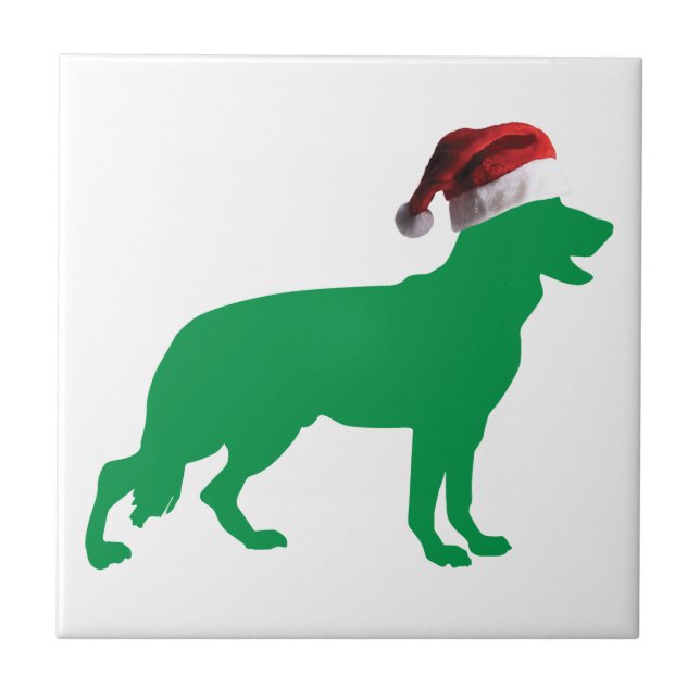 German shepherd de Natal (Frente)