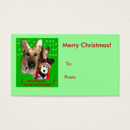German shepherd de Natal, Reindeer de Dogs