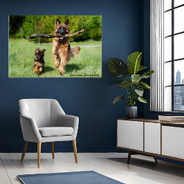 German shepherd Mãe e Pup Executando Poster