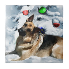 German shepherd Natal
