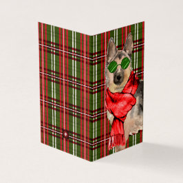 German shepherd Natal Red Holidy Xadrez