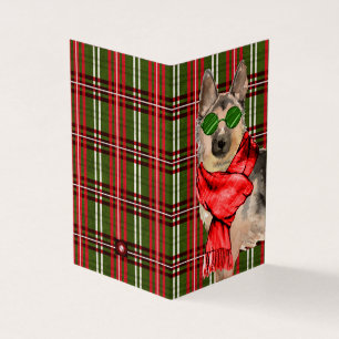 German shepherd Natal Red Holidy Xadrez
