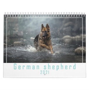 German shepherd no calendário de 2021.