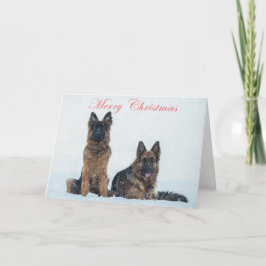 German shepherd no cartão de natal da neve.
