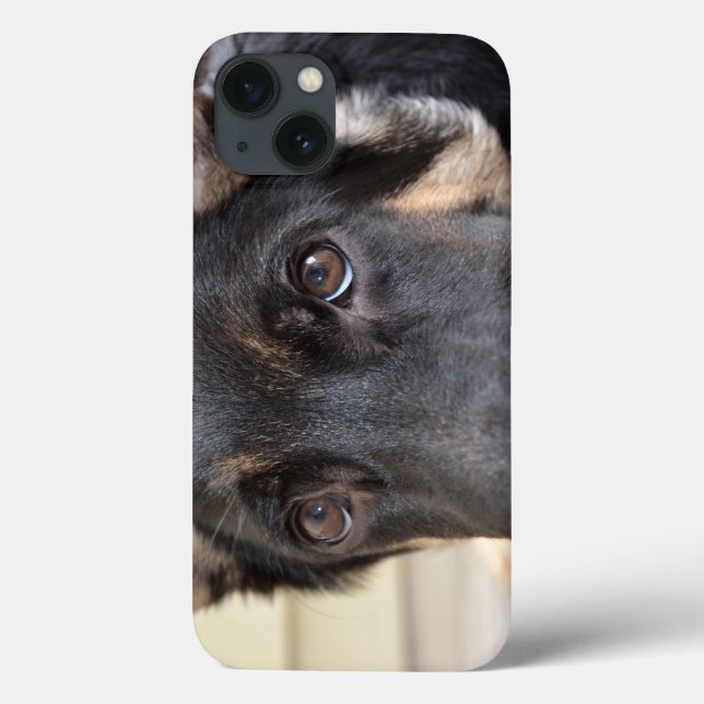 German shepherd por Shirley Taylor (Verso)