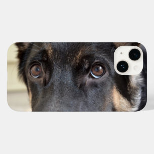 German shepherd por Shirley Taylor