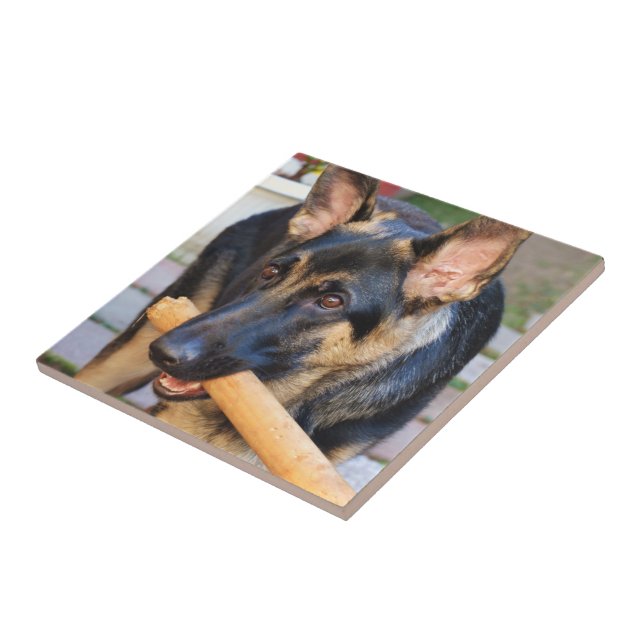 German shepherd por Shirley Taylor (Lateral)