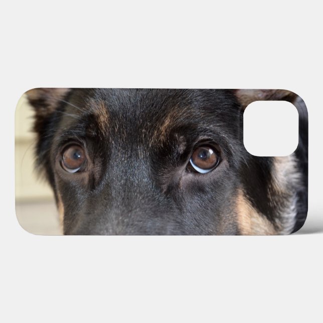 German shepherd por Shirley Taylor (Verso (horizontal))
