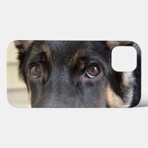 German shepherd por Shirley Taylor