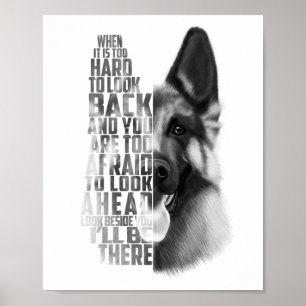 german shepherd, Poster German shepherd