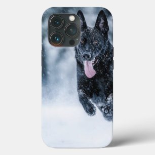 German shepherd preto no Cobrir da escova de neve