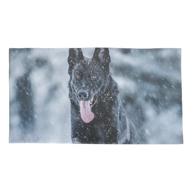 German shepherd preto no Cobrir da escova de neve (Verso)