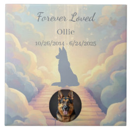German Shepherd Rainbow Bridge Memorial Photo