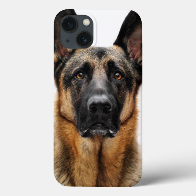 German shepherd Sentado (Verso)
