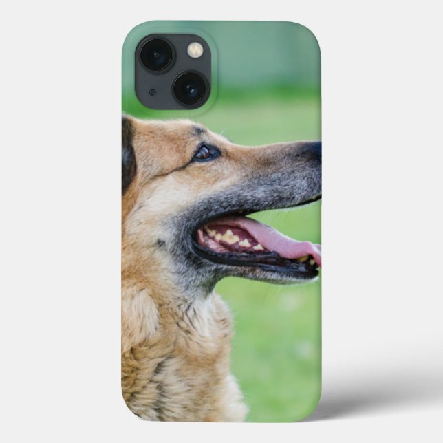 German Shepherd Side Portrait (Verso)