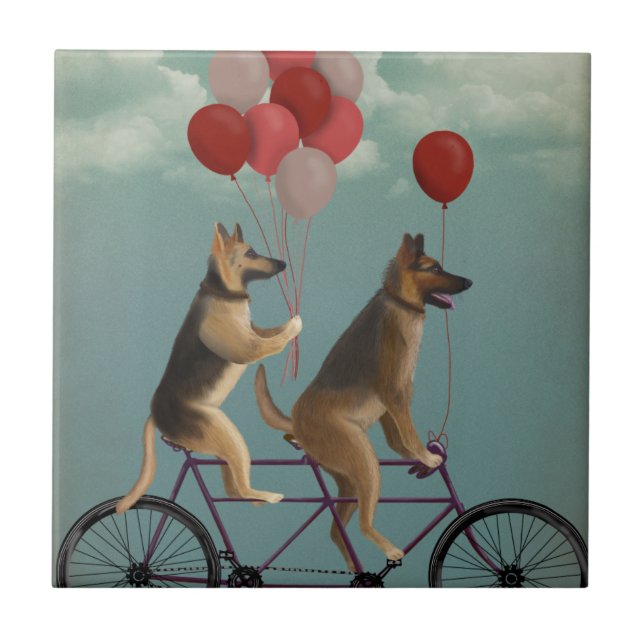 German shepherd Tandem (Frente)