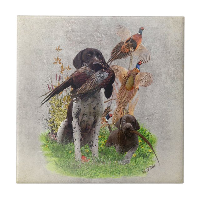 German Shorthaired Pointers (GSP) Gift Box (Frente)