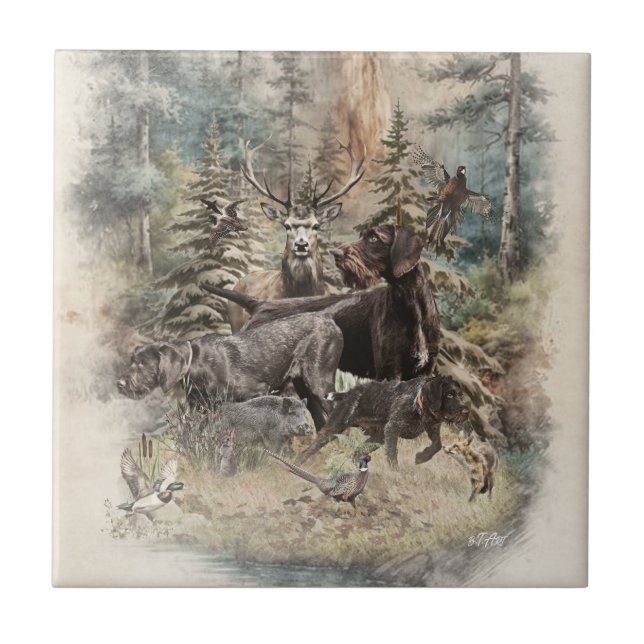 German Wirehaired Pointer (Frente)