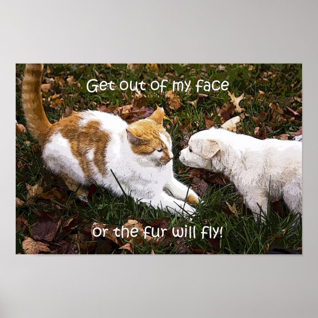 "Get out of my face" humorous dog and cat poster (Frente)