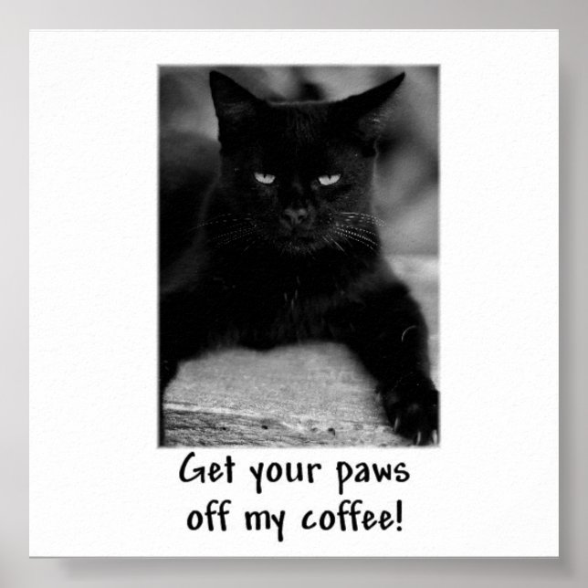 Get Your Paws Off My Coffee! Funny Cat Poster (Frente)