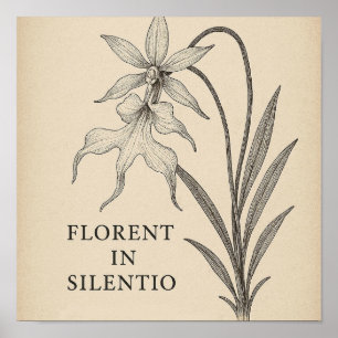 Ghost Orchid Elegance - Poster de citação botânica