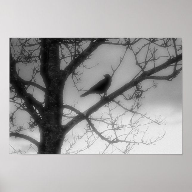 Ghost Raven Poster (Frente)