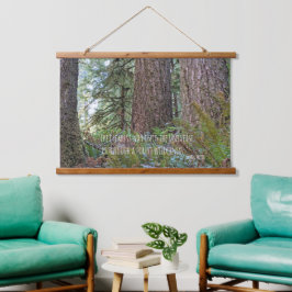 Giant Conifer Forest e John Muir Nature Cote