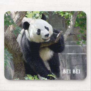 Giant Panda Bei Bei Mousepad