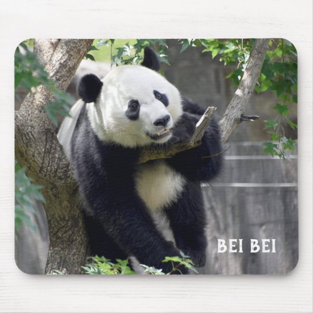 Giant Panda Bei Bei Mousepad (Frente)