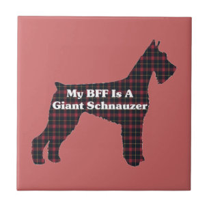 Giant Schnauzer BFF