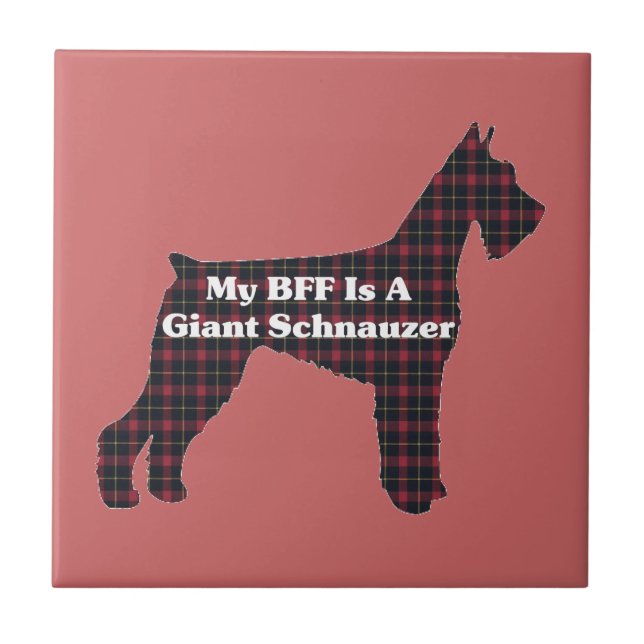 Giant Schnauzer BFF (Frente)