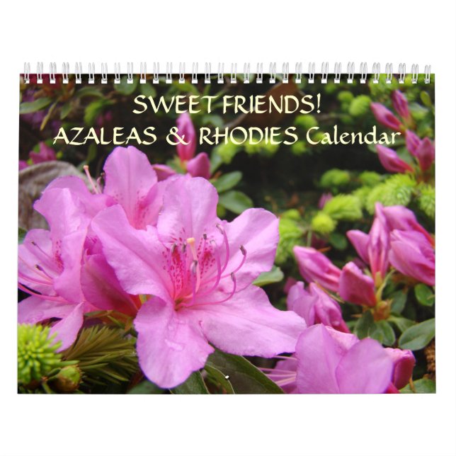 Gift Azaleas Rhodies Flower do Calendário dos AMIG (Capa)
