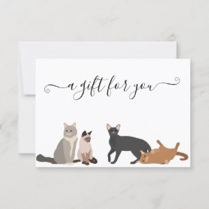 Gift Certificate Cats Pet Business