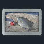 Gill Azul na Boca<br><div class="desc">Gill Azul no Boco no lago Arrohead</div>