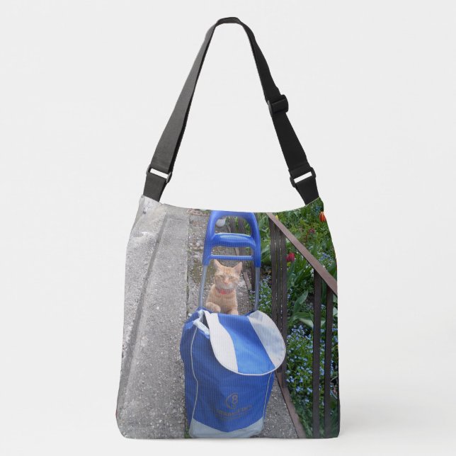 Ginger Cat bolsa (Frente)