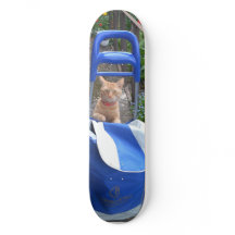 Ginger Cat de skate