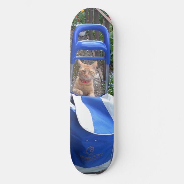 Ginger Cat de skate (Frente)