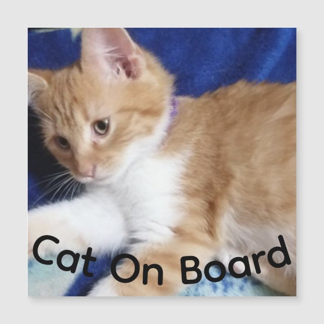 ginger cat on board photo,  car magnet (Frente)