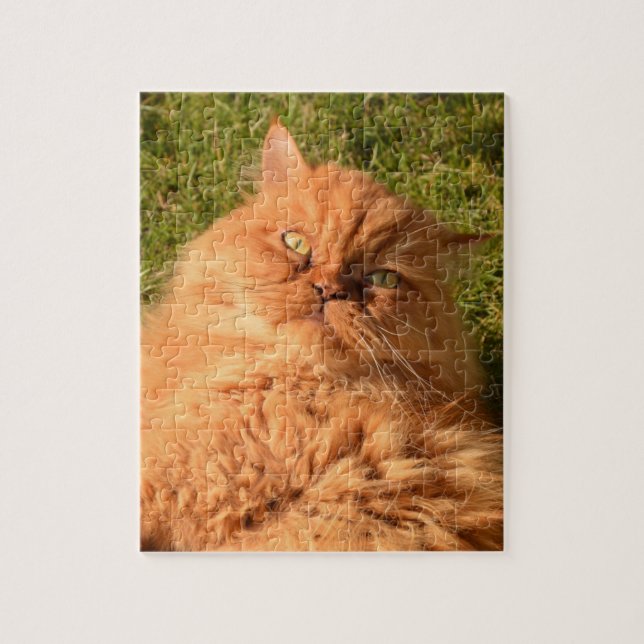 GINGER CAT PERSIAN JIGSAW Quebra-cabeça (Vertical)