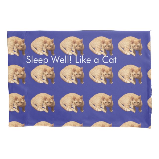 Ginger Cat Photo Humor Text Blue Red  (Frente-Esquerda)