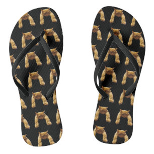 Ginger Lazy Cat, Chinelos